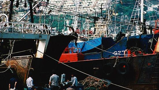 图片来源：视觉中国