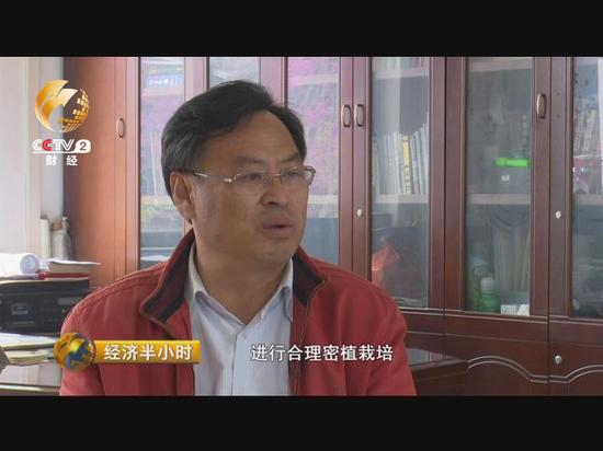 烟台苹果协会会长提倡果农更换新品种，提升苹果品质。