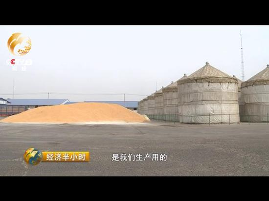 △场地左边放的是生产用玉米原材料，右边的墩子囤房着大量不能动用的国家储备粮。