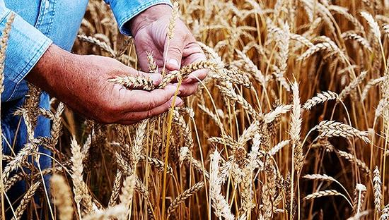 图片来源：视觉中国