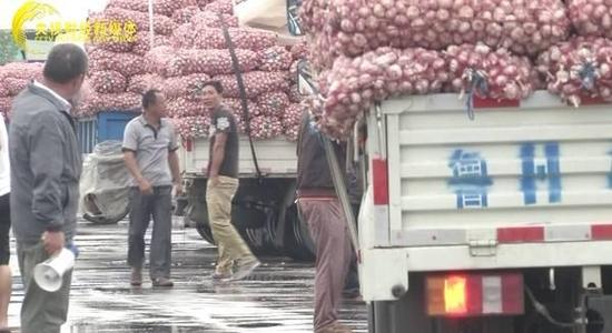 揭秘“蒜你狠”背后推手 房地产商也来豪赌