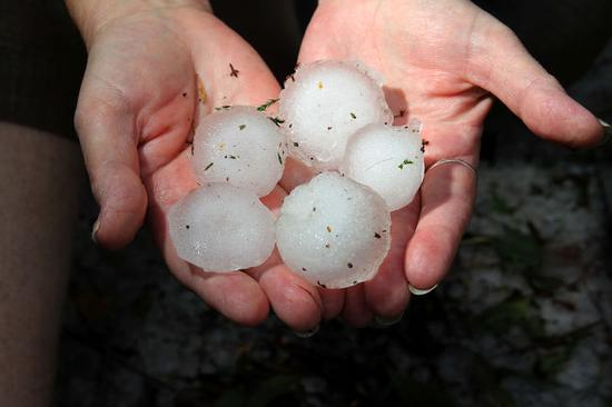 （卡尔加里冰雹大如高尔夫球，来源：FX168财经网、Global News）