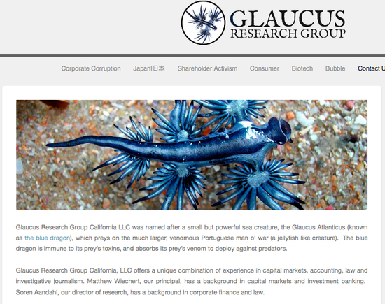 格劳克斯官网上的简介。