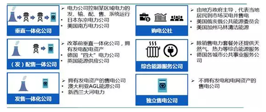 图表 3 国外售电公司经营模式