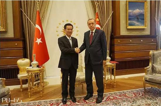 受土耳其总统埃尔多安接见