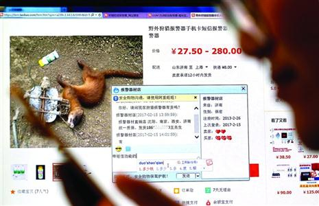 工具很容易买到，为盗猎者开了方便之门。晨报记者/朱影影