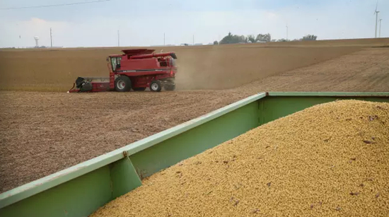 文章来源：FT中文网