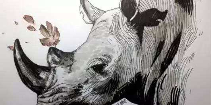 人民日报谈灰犀牛:上医治未病 防患未然胜过亡