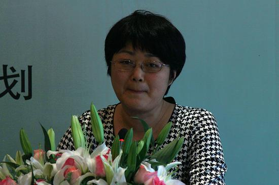 国家发改委国际合作中心全球化研究所所长陶真