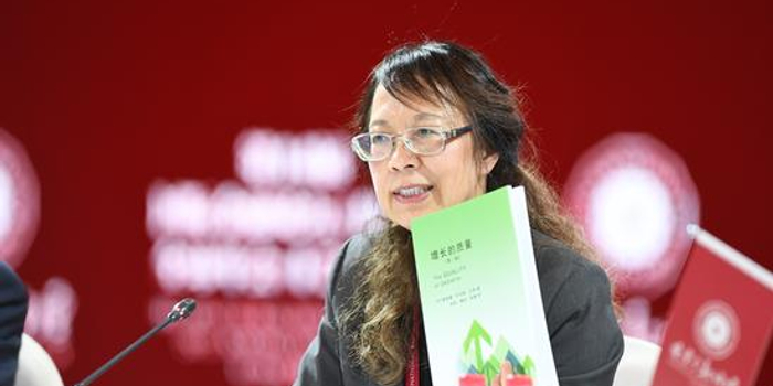 iff研究院副院长王燕建议:成立粤港澳大湾区开发银行