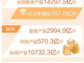 全年粮食生产再次实现高位增产