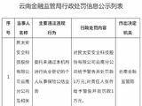 民太安云南分公司被罚1万元：委托未通过本机构进行执业登记的个人从事保险公估业务