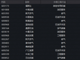 中东能源设施安全风险进一步升级！石油石化板块继续猛攻，石油ETF华宝（159019）标的指数涨1.71%