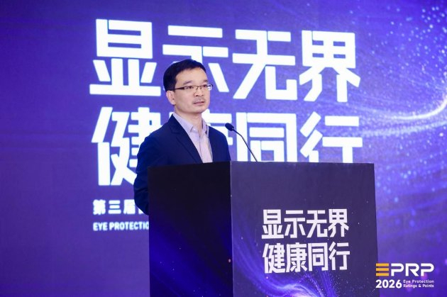 中国电子视像行业协会秘书长 董敏