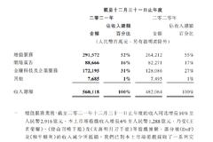 腾讯控股：2021年本土市场游戏收入增长6%至1288亿元