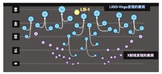 黑洞质量 （太阳质量） LB-1和引力波并合事件、X射线方法发现的黑洞的质量分布。 新华社发