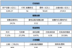 建业地产：走不出的河南和重仓的三四线