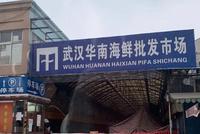 再探武汉华南海鲜批发市场:生活仍要继续