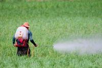 非洲遭遇严重蝗虫入侵 农药股早盘持续走强