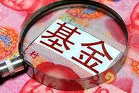 “日光基”B面:基金爆款有套路