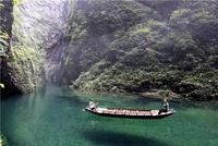 万里茶道茶源地：“皇后茶”湖北鹤峰