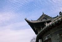 河南社旗：同庆“国际茶日”，共饮万里馨香