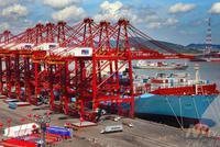 快讯：港口板块早盘异动拉升 青岛港大涨7%