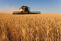 快讯：农业种植板块开盘走高 丰乐种业涨4%