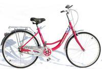自行车订单排到明年7月 上海凤凰一字板