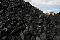 快讯：煤炭股早盘集体反抽 云煤能源等多股涨停