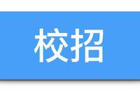 2021校招大幕拉开:今年就业难不难?有哪些新选择?