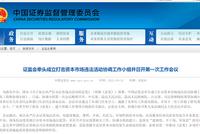 证监会牵头成立打击资本市场违法活动协调工作小组