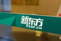 “躺平”后的新东方如何调头