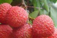 wu2198解盘：固态电池板块行业趋势不变，保持耐心！