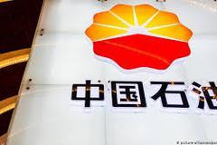 中国石油党组通报关于十九届中央第三轮巡视整改进展情况