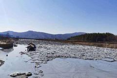 伊春鹿鸣矿业钼矿尾矿库险情抢险有序进行