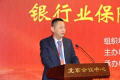邢炜：发挥保险优势 助力精准扶贫