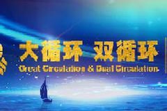 【“十四五”规划系列研究】杨成长：以远景目标引领五年规划