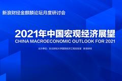 2021年中国宏观经济形势分析与预测报告发布（全文）