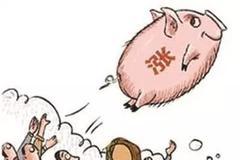 快讯：猪肉概念股午后异动拉升 天邦股份涨停