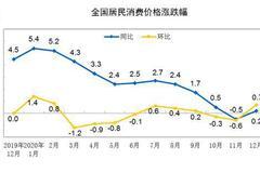 统计局：2021年1月份CPI和PPI环比继续上涨 同比一跌一涨