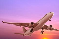 统计局：1月份飞机票和旅行社收费价格同比分别下降33.2%和9.9%
