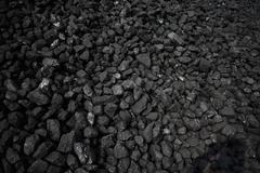 快讯：煤炭板块全线飘红 陕西黑猫等近十股涨停封板