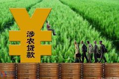 2020年我国涉农贷款余额同比增长10.7%