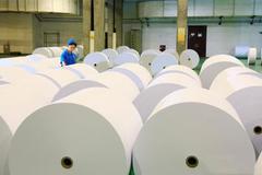 快讯：造纸板块表现活跃 晨鸣纸业涨6%