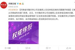 河南省对隆庆祥公司总裁网上实名举报反映的问题展开核查
