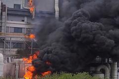 上海金山区厂房火灾8名失联人员确认遇难