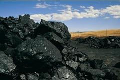 快讯：煤炭板块大幅拉升 兖州煤业涨停