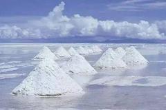 快讯：盐湖提锂板块异动拉升 西藏矿业涨超9%