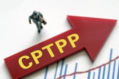 重磅！中国正式提出申请加入CPTPP 有何重要意义
